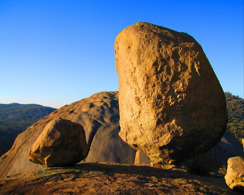 Nature And Foodies Trail - Accommodation Whitsundays 1