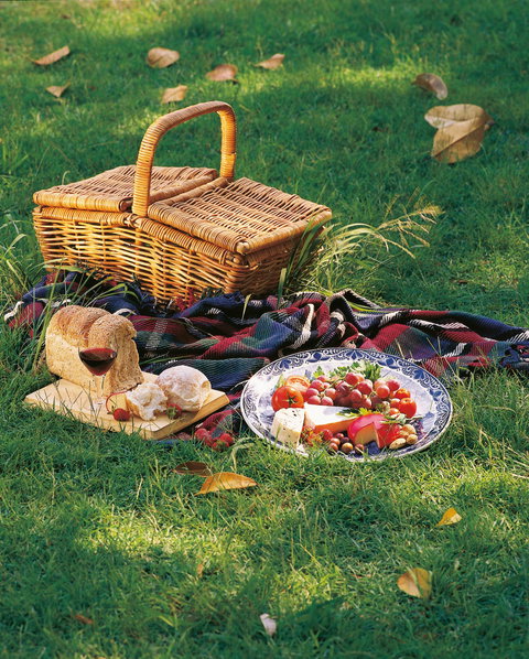 Nature And Foodies Trail - Accommodation Whitsundays 2