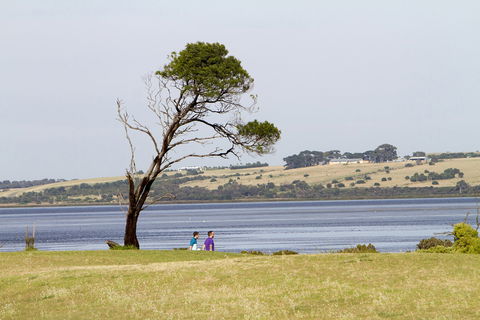 Queenscliff Golf Club - Accommodation Whitsundays 2