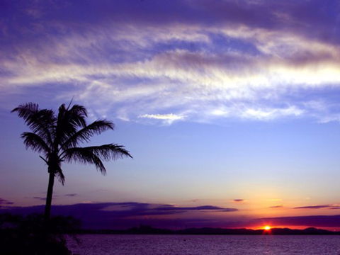Quoin Island Retreat And Turtle Rehabilitation Centre - Accommodation Whitsundays 0