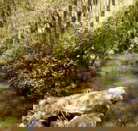 Sandy Creek Track - Accommodation Whitsundays