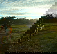 Scenic NSW Horse Riding Centre - Accommodation Whitsundays