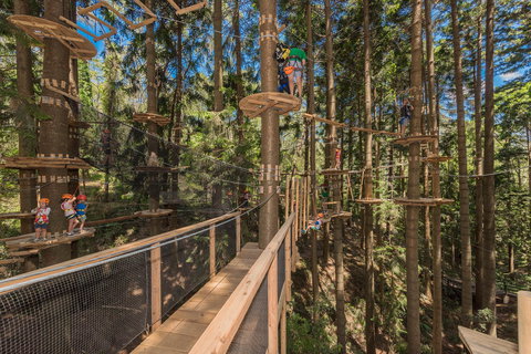 TreeTops Sydney The Hills - Accommodation Whitsundays 0
