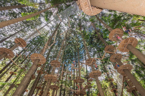 TreeTops Sydney The Hills - Accommodation Whitsundays 1