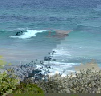 Trigg Island Beach - Accommodation Whitsundays