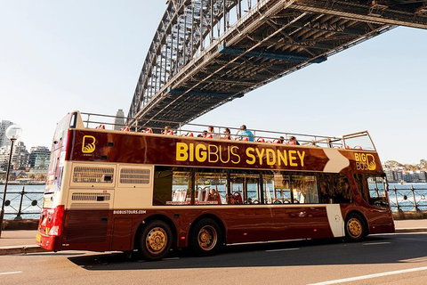 Hop-On Hop-Off Bus And Cruise PLUS Attractions - Accommodation Whitsundays 5