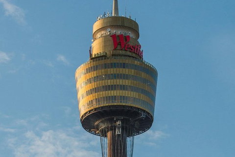 Hop-On Hop-Off Bus And Cruise PLUS Attractions - Accommodation Whitsundays 2