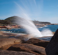 Bicheno Blowhole - Accommodation Whitsundays