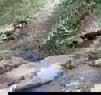 Bomaderry Creek Regional Park - Accommodation Whitsundays