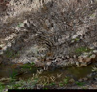 Brisbane Ranges National Park - Accommodation Whitsundays