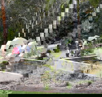 Maroochy Regional Bushland Botanic Garden - Accommodation Whitsundays