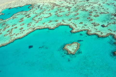 Whitsunday Region - Accommodation Whitsundays 0