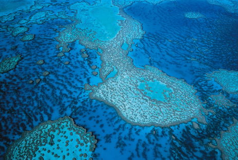 Whitsunday Region - Accommodation Whitsundays 2