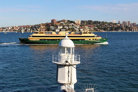 Half Day Manly Beach And More - Accommodation Whitsundays 7