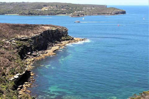 Half Day Manly Beach And More - Accommodation Whitsundays 9