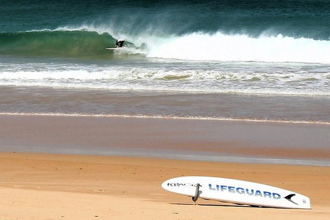 Half Day Manly Beach And More - Accommodation Whitsundays 5