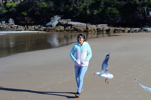 Half Day Manly Beach And More - Accommodation Whitsundays 6