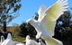 Half Day Manly Beach And More - thumb 1