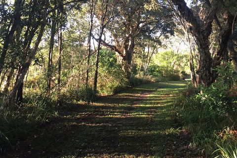 Coffs Harbour To Sawtell Bike Ride - Accommodation Whitsundays 7