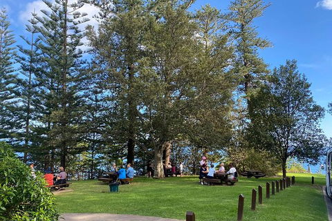 Breakfast Bushwalk Tour In Captain Cook\'s Monument - Accommodation Whitsundays 1
