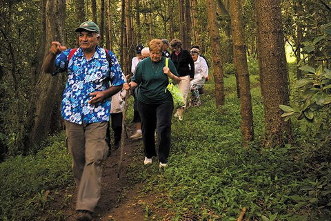 Breakfast Bushwalk Tour In Captain Cook\'s Monument - Accommodation Whitsundays 4