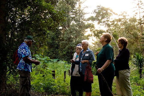 Breakfast Bushwalk Tour In Captain Cook\'s Monument - Accommodation Whitsundays 3