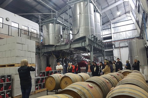 Hunter Valley Small Group Wine, Gin, Cheese & Chocolate Tour - Accommodation Whitsundays 6