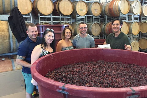 Hunter Valley Small Group Wine, Gin, Cheese & Chocolate Tour - Accommodation Whitsundays 0