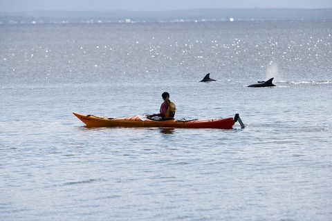 Half-Day Jervis Bay Sea Kayak Tour - Accommodation Whitsundays 4
