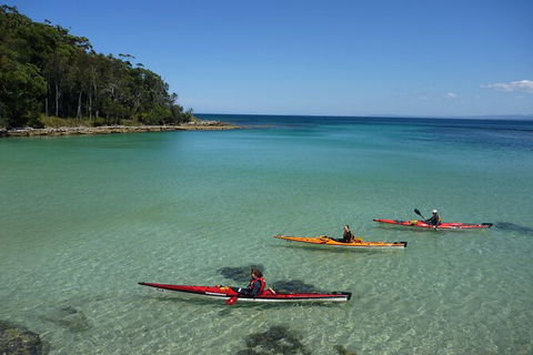Half-Day Jervis Bay Sea Kayak Tour - Accommodation Whitsundays 3