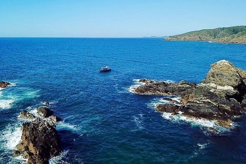 Julian Rocks Byron Bay Cruise - Accommodation Whitsundays 15