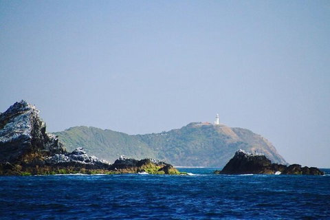 Julian Rocks Byron Bay Cruise - Accommodation Whitsundays 2