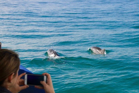 Julian Rocks Byron Bay Cruise - Accommodation Whitsundays 9