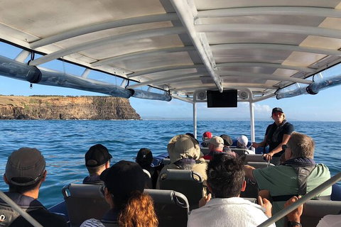 Julian Rocks Byron Bay Cruise - Accommodation Whitsundays 5