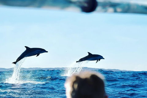 Julian Rocks Byron Bay Cruise - Accommodation Whitsundays 18