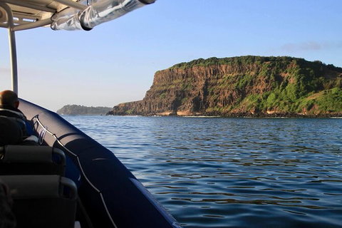 Julian Rocks Byron Bay Cruise - Accommodation Whitsundays 17