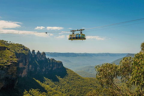 Blue Mountains Highlights, Wildlife Park And Scenic World Full Day Private Tour - Accommodation Whitsundays 0