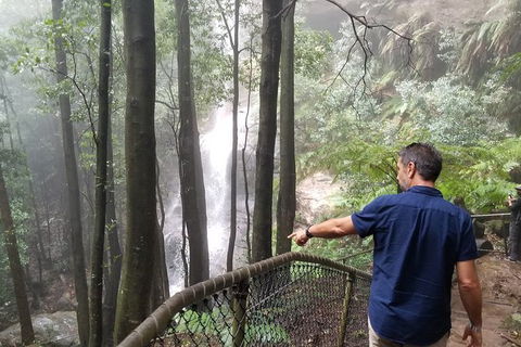 Blue Mountains Highlights, Wildlife Park And Scenic World Full Day Private Tour - Accommodation Whitsundays 6