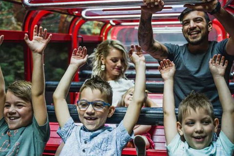 Blue Mountains Highlights, Wildlife Park And Scenic World Full Day Private Tour - Accommodation Whitsundays 5