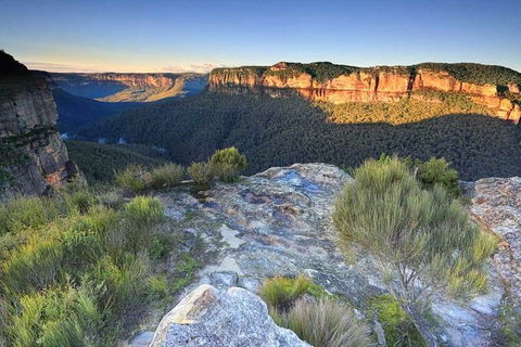 Blue Mountains Highlights, Wildlife Park And Scenic World Full Day Private Tour - Accommodation Whitsundays 4