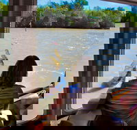 Jumping Crocs  Nature Adventure Cruise from Darwin - Accommodation Whitsundays