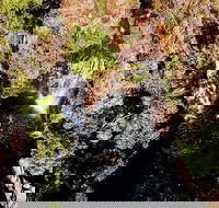 Ethical Adventures - Pure Litchfield - Accommodation Whitsundays
