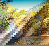 Litchfield National Park Waterfalls Day Trip From Darwin Including Termite Mounds and Lunch - Accommodation Whitsundays