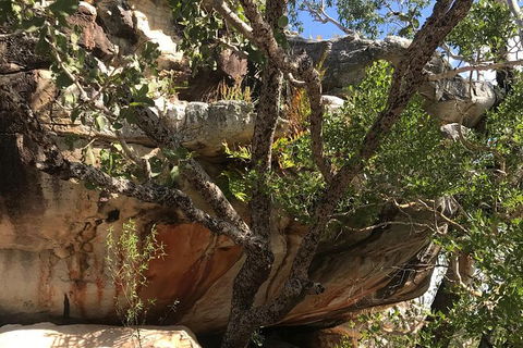 4-Hour Groote Eylandt Explorer 4WD Tour - Accommodation Whitsundays 1