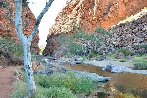 Alice Springs, Uluru Ayers Rock & Kings Canyon 8 Days Touring Package - Accommodation Whitsundays 2