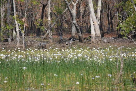 Darwin: Premium Litchfield Regional 11 Hours Tour - Accommodation Whitsundays 4