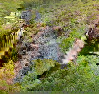 Full-Day Private Guided Tour to Litchfield National Park - Accommodation Whitsundays