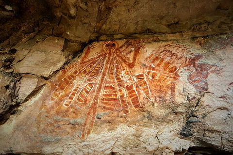 Arnhem Land Injalak Hill Full-Day Tour From Darwin - Accommodation Whitsundays 1