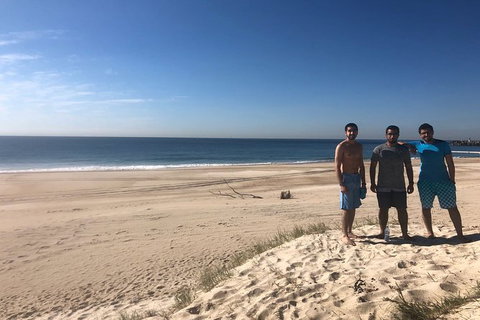 Half Day Dolphin Kayaking And Snorkeling Tour - Accommodation Whitsundays 8