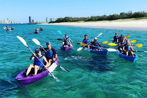 Half Day Dolphin Kayaking And Snorkeling Tour - Accommodation Whitsundays 11